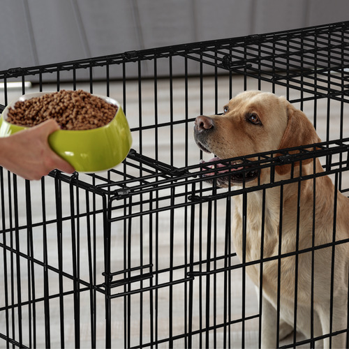 3 door dog cage best sale